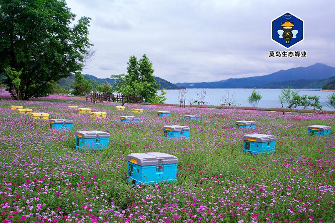 正大集团董事长谢吉人应万色城集团邀请到访千岛湖智能蜂业基地