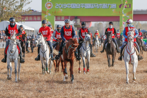2019中国安平国际马术耐力赛开赛