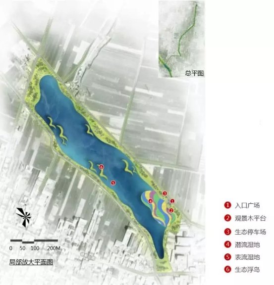 新加坡经验，潜流湿地助力雄安新区碧水建设