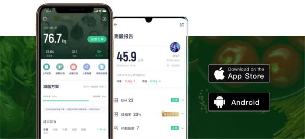 体脂排行榜_看体脂秤随时掌握健康状况速来京东get这波春季最潮减肥操作