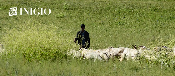 印象草原小背心到底有多好?