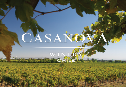 智利葡萄酒的瑰宝——雨果卡萨诺瓦家族