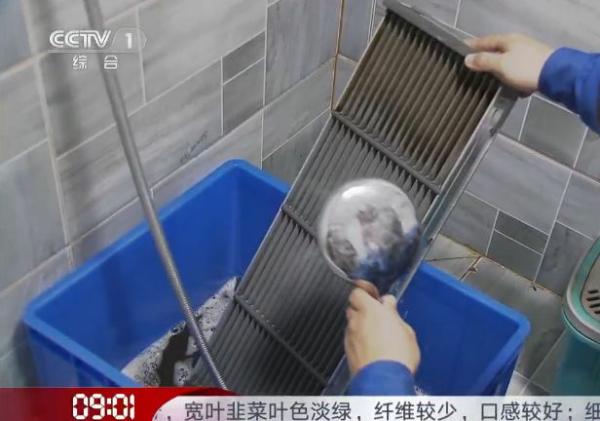 解秘!远大登陆央视1套 竟是因为这些原因