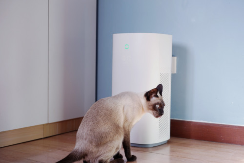 家里有猫也能畅快呼吸：720全效空气净化器C400，铲屎官神器