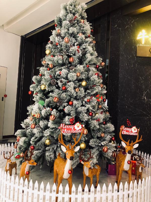 浪漫与美味并存，圣诞就认这家顶级西餐厅牛排家