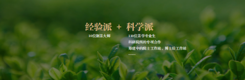 小罐茶杜国楹：把中国茶从意外的发现转变成主动的设计
