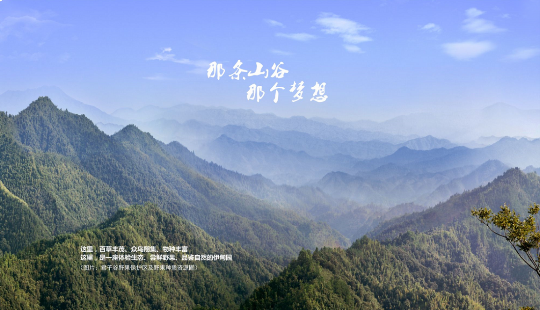 他们守护大山25年，研发的起泡酒10年后一夕走红市场
