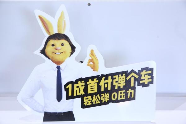 一房一车一猫一狗 弹个车这样提升独立女性幸福感