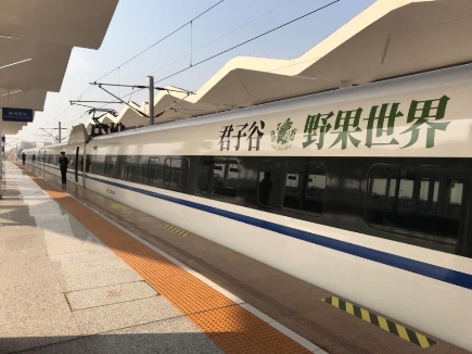 他们守护大山25年，研发的起泡酒10年后一夕走红市场