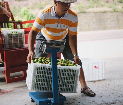 “彩云优品”被扶贫办点名，精准扶贫开启新模式