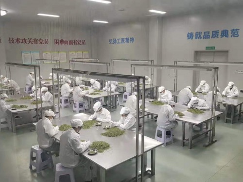 川茶大区域品牌天府龙芽实力领衔 加速推进川茶产业创新升级