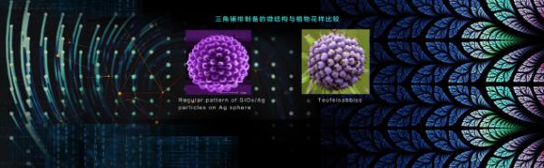 DIGIX TALK：花花草草该长啥样？它们自己早就安排得明明白白！