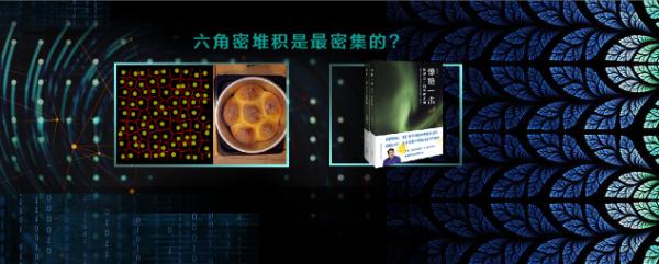 DIGIX TALK：花花草草该长啥样？它们自己早就安排得明明白白！