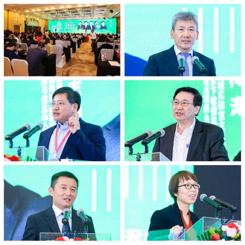 全球深商大会论坛直击丨AI为王，应用无界，聚焦海洋经济
