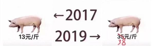 卡特：←2017到2019→青春期总要有一双卡特大黄靴