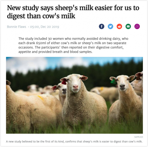 Spring Sheep将顶级绵羊奶源品质标准带上世界舞台