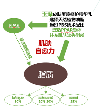 有90%的肌肤亚健康问题，一直被大家忽略了