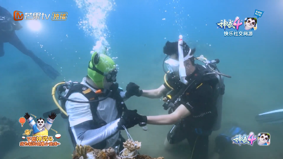 宣誓捍卫海洋 《神武4》携手《小小的追球》守护巴厘岛珊瑚礁