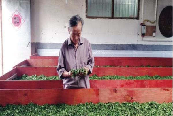 淘宝春茶节 淘宝春茶节即将盛大开幕，爱茶之人有口福了