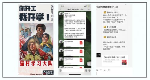 优税猫CEO陈志高：投资组织能力，就是投资企业未来