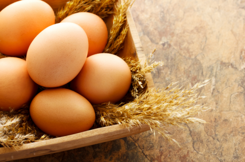黄天鹅鸡蛋以先行者姿态，引领中国蛋品品质革新！