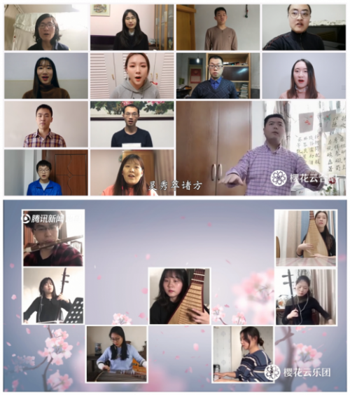 春樱如约至，武大云赏花：这扇任意门为你开启