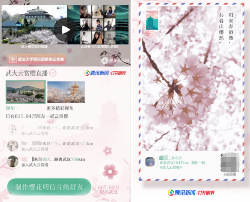 春樱如约至，武大云赏花：这扇任意门为你开启