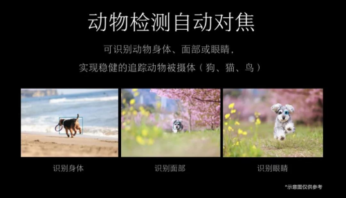 未来可期 我们为什么会对佳能EOS R5格外关注