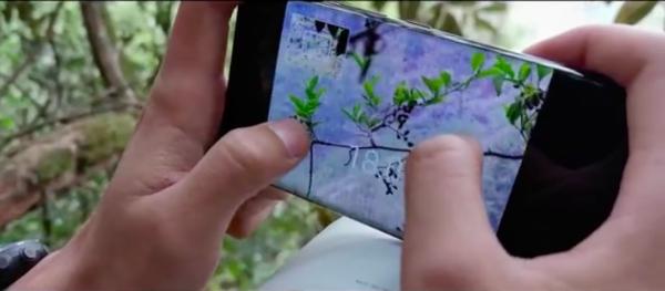 国内首支手机拍摄野生动物纪录小短片上线 荣耀30用长焦镜头守护地球生灵