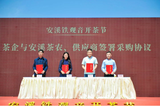 铁观音开茶节|龙头茶企八马茶业，助力茶区复工复产