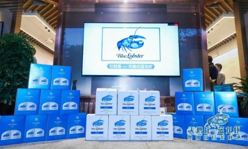 当小龙虾遇上“蓝龙虾 ” 澳洲天鹅庄重磅推出夏季大单品