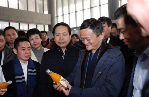 “圣果”沙棘做猫粮，宠物行业迎来健康新势力