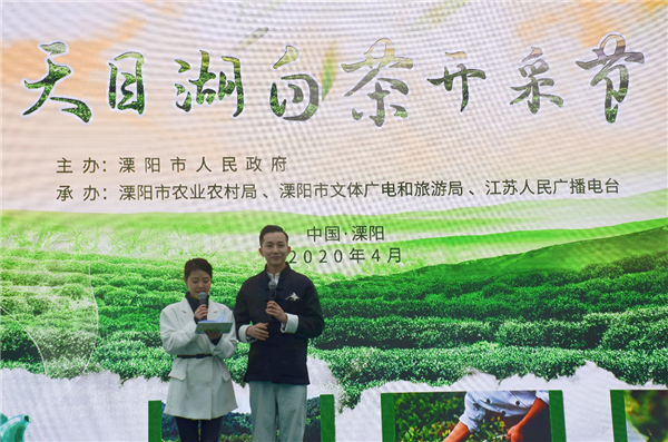 踏青寻春，2020天目湖白茶开采节成功举办