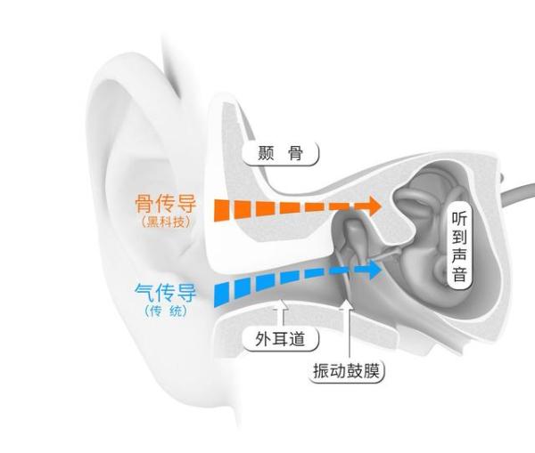 AfterShokz 清明小长假自驾，你需要一副AfterShokz韶音骨传导耳机