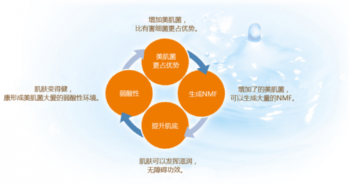 澜斐儿 澜斐儿活蛋白多肽修护冷敷贴，修复美丽光彩耀人