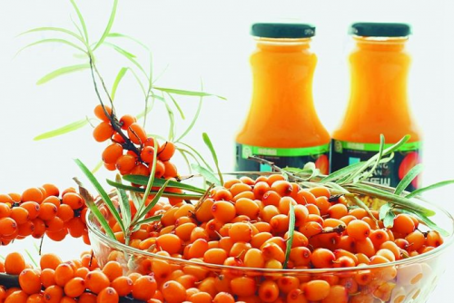 “圣果”沙棘做猫粮，宠物行业迎来健康新势力