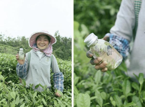 一杯喜茶背后，你不知道“源”来如此