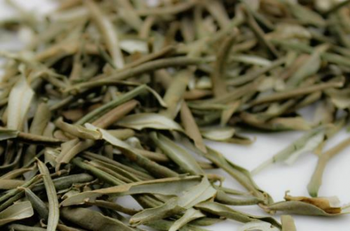 “圣果”沙棘做猫粮，宠物行业迎来健康新势力