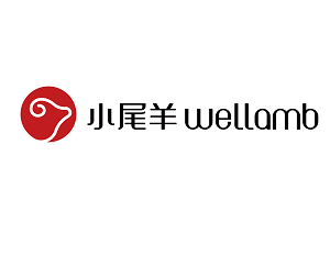 20年奔跑 20年奔跑 小尾羊变身“头羊” 走向世界