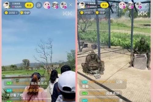 60万网友 带领60万网友“云春游” KK直播助力杭州文旅复兴