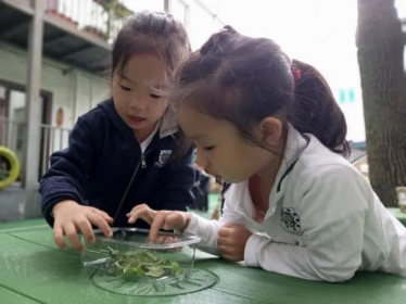 我的孩子在宁波赫德丨我总觉得，她在幼儿园的每一天都是闪闪发光的