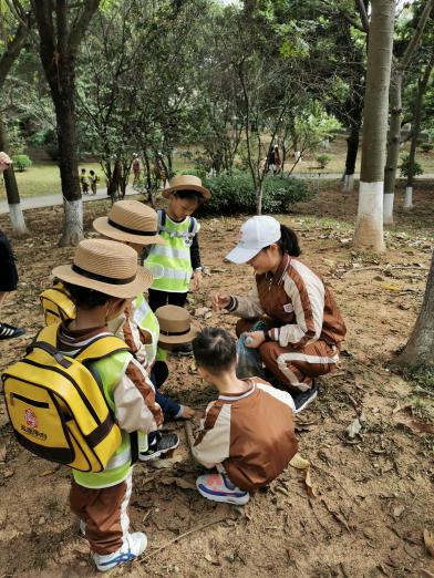 不以“幼儿园”命名的幼儿园——五墨学府