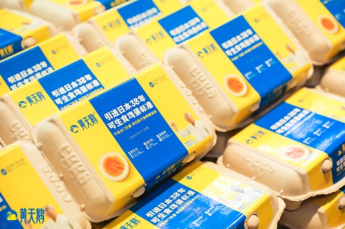 引进日本38年可生食鸡蛋标准 黄天鹅引领中国蛋品品质升级