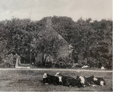 爱荷美（Ekobaby）与乐荷就A2有机奶源直供达成战略合作