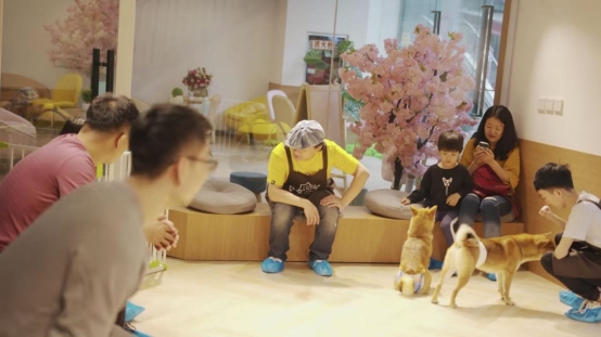 A站UP主长安一条柴，一人一犬探店美食