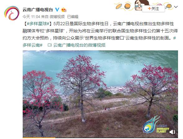 联合国COP15会徽设计方植物医生再添新作，践行公益助力生物多样性保护