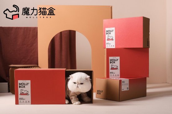 一站式轻松订购的魔力猫盒，把爱与关怀传递给猫主子
