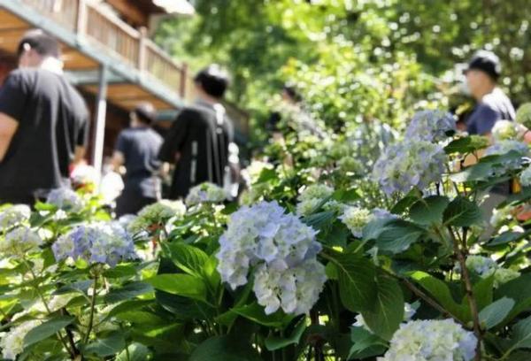 国内首部种田系奇幻单元短剧《犹如故人来》天台开机