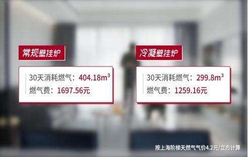 阿里斯顿 阿里斯顿冷凝壁挂炉采暖 让你在“报复性消费”上暴富又理性