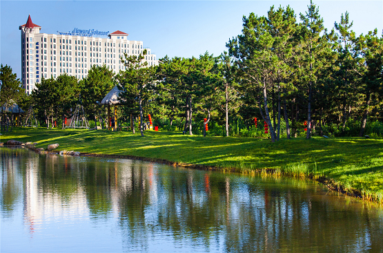 相约那香海，享受生活赋予的浪漫与诗意